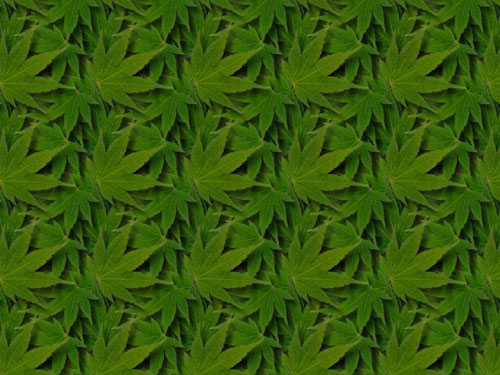 telecharger fond d'ecran cannabis 16