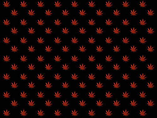 telecharger fond d'ecran cannabis 17